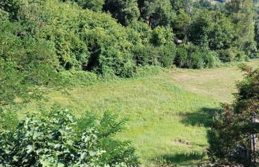 Tabernacolo - Foto 5