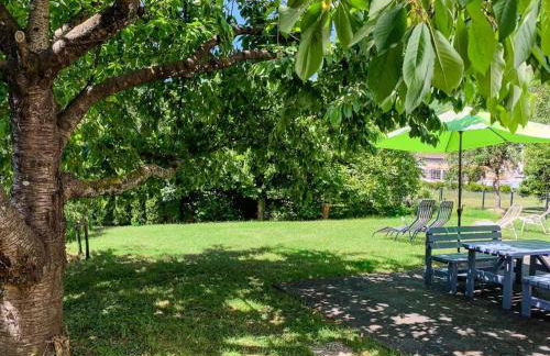 Apartment Perle-Lollipop by Interhome - Foto 3