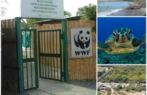 Casa Vacanze BORGO VECCHIO - Photo 40