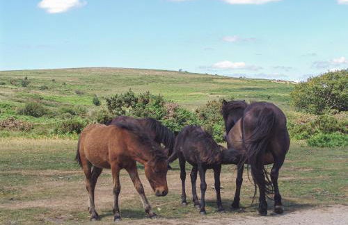 The Bakehouse - Foto 12