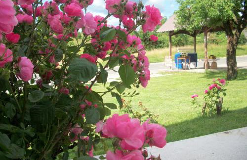 House Veljko - Foto 22