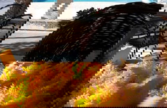 Masseria San Martino - Foto 25