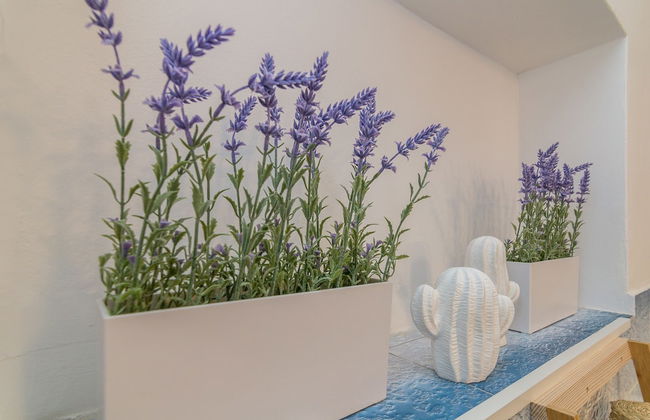 Apartment Cabo - Photo 18