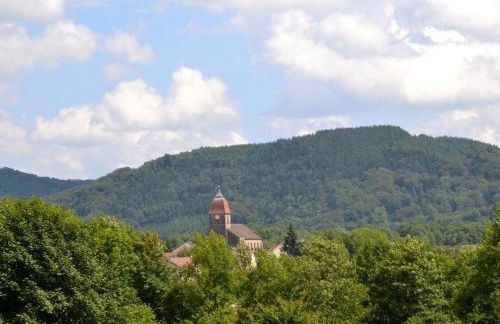 Gîte familial dans les Vosges avec WiFi inclus - FR-1-583-443 - Foto 26