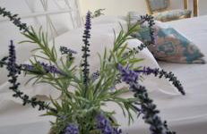 Apartmani Mirjana - Photo 18