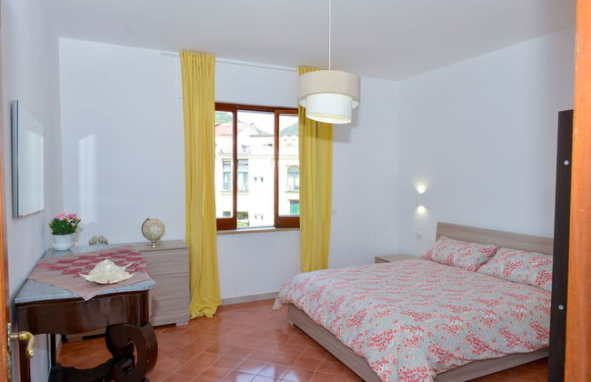 Sofia flora - Photo 19