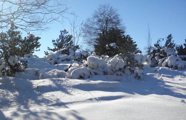 Apartment Near Willingen & Winterberg Ski Slopes - Photo 31