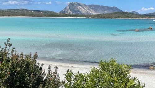 Sa Domo e Aurelia - Foto 5