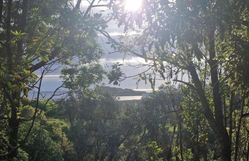 Casa do Pinheiro, Graciosa Island - Foto 5