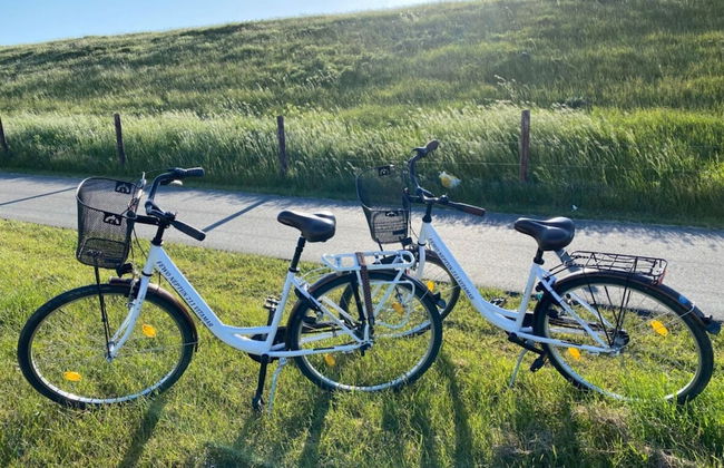 Holiday Apartment Neptune 211 - Photo 10