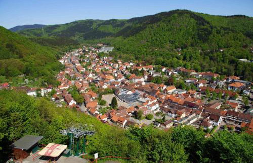 Ferienwohnung am Paradiese 74 - Foto 11