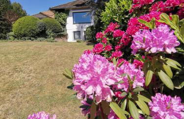 Silent Hill House - Foto 32