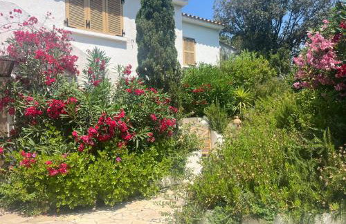 Villa LILY BAY baie de Santa Giulia-Porto Vecchio - Foto 55