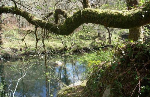 Casa da Labaceira - Foto 39