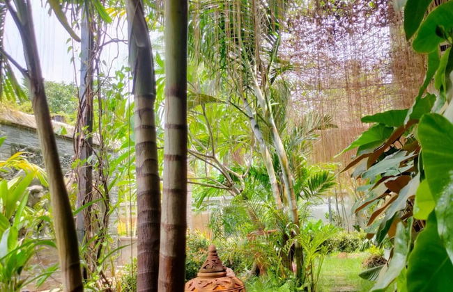 Flora Land Resort Chiang Mai - Foto 43