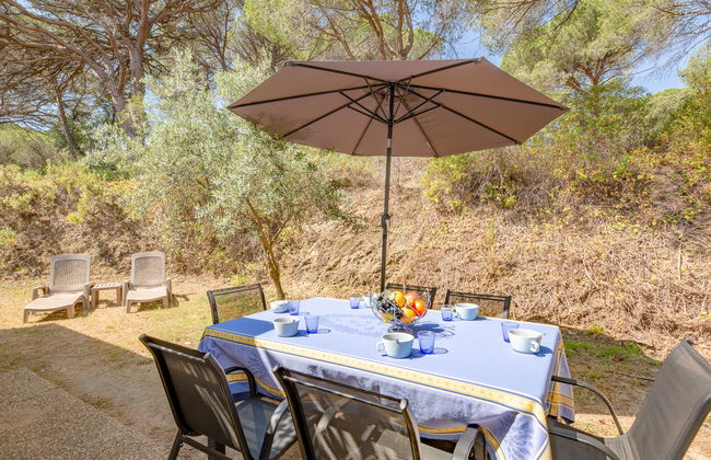 Les Eucalyptus - Foto 2