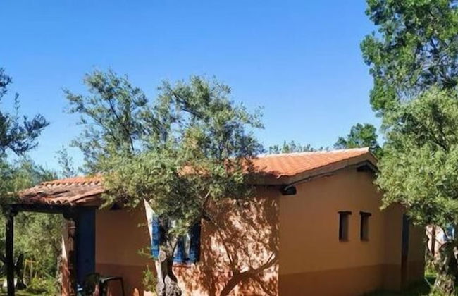 Aldea Vetonia Alojamientos con Encanto Parque de Mascotas-NO SE ACEPTAN EN JULIO Y AGOSTO- Varias zonas infantiles y deportivas "encuentranos y reserva para verano" - Foto 130