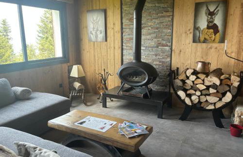 Chalet Le Bisolet - Foto 2