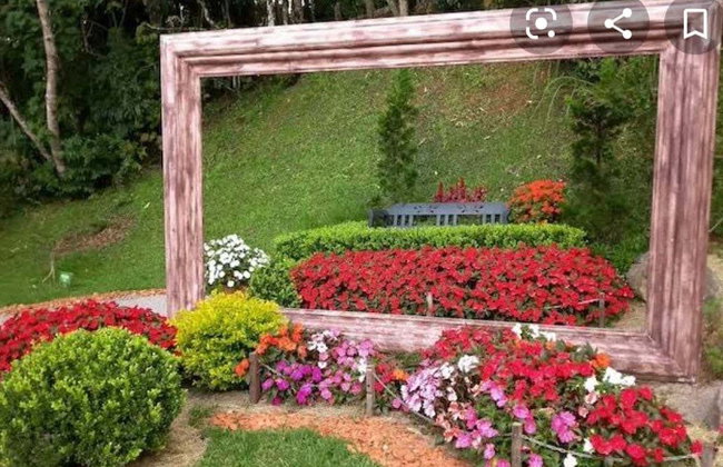 Tour panorámico por Campos do Jordão + Parque Amantikir - Foto 11