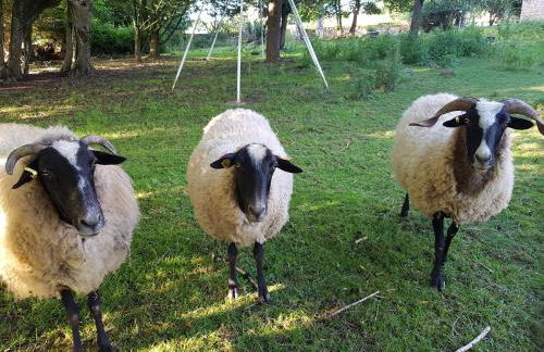 La Petite Maison du Gardien - Foto 10