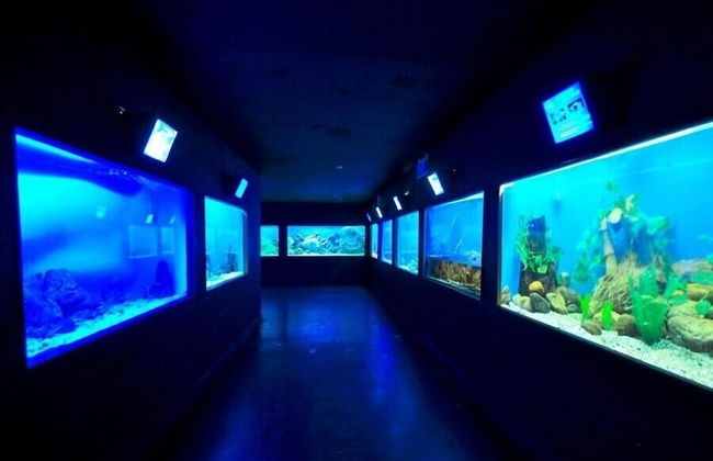 Sea View Apartment with Swimming Pool & Hot Tubs - Foto 37