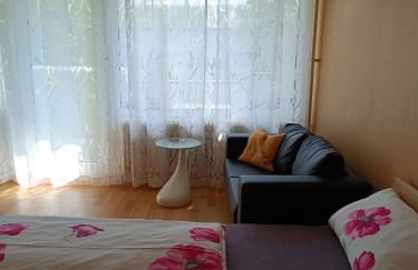 Offenburg Apartment - Foto 2