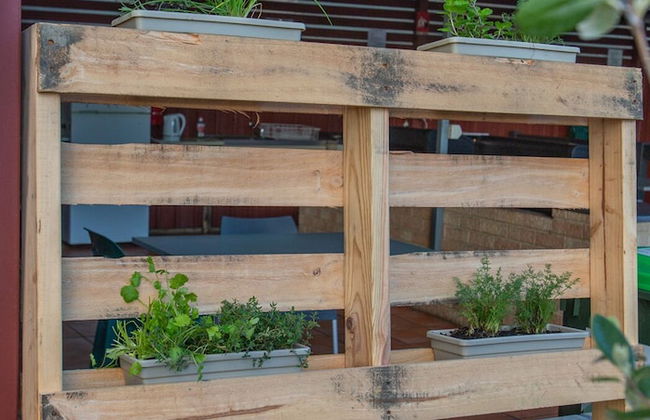 Tasman Holiday Parks - Albany - Foto 38