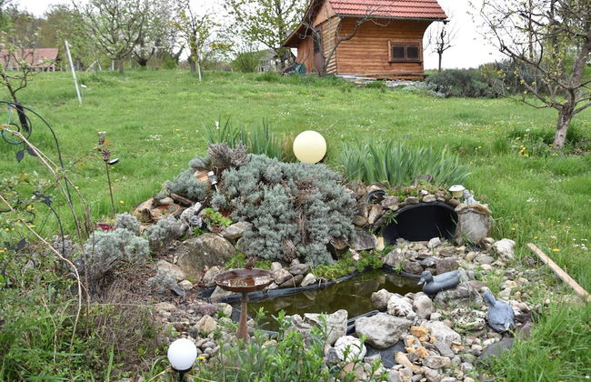 Studio Silvia - Foto 13