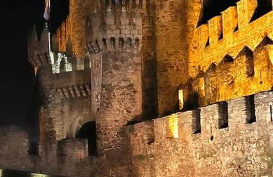 VUT Mencía - Foto 9