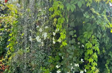 Green paradise with Etna view - Foto 51