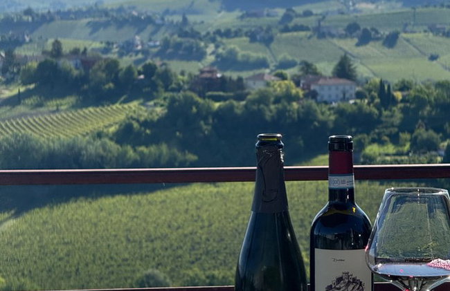 Dégustation de vins avec le producteur Visite la cave e vignoble - Photo 6