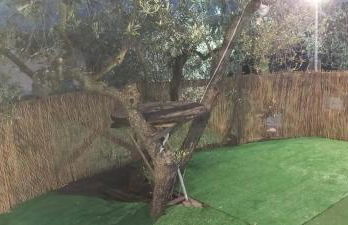 Casa nel verde a Monterotondo - Foto 8