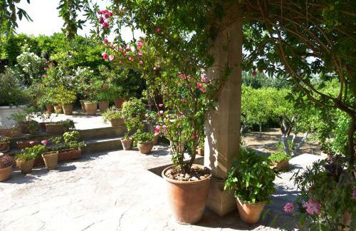 Casale del Forno - Foto 63