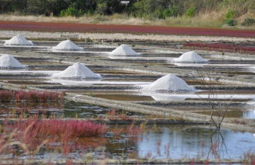 Appartement au cœur du Pouliguen avec balcon et parking, animaux admis - FR-1-306-1313 - Foto 10