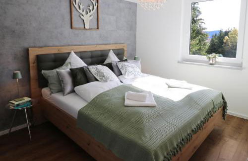 Design-Ferienhaus "auf der Schanz" mit privater Sauna - Todtnau-Muggenbrunn, Feldberg im Schwarzwald - Foto 14