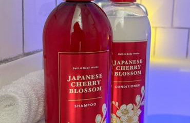 Pristine Full Sized Montrose Apartment Half Block to Menil Museum - Foto 35