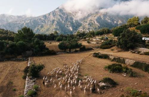 Finca Muntanya by SunVillas Mallorca - Foto 7