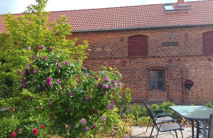 Ferienwohnung Steckelsdorf - Foto 23