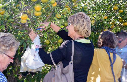 Apartman Iskra 2 - Foto 74