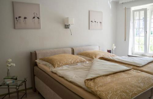 Ferienwohnung am Rheinsteig - Foto 16