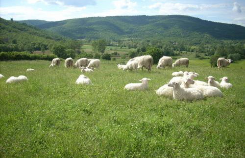 Agriturismo Villa Martis - Foto 24