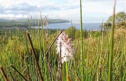 GlenHaven Holiday Accommodation - Foto 58