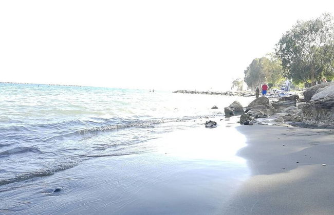 V.I.P. Galatex - Foto 37