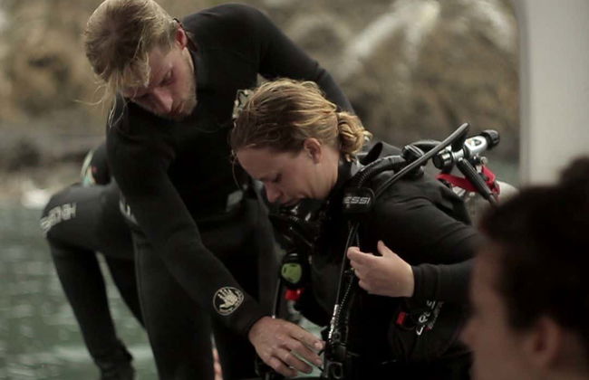 Diving in Puerto López - Foto 7