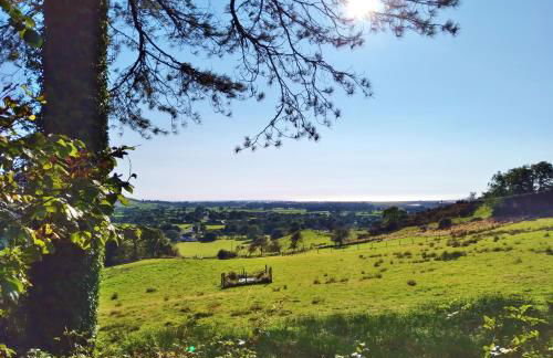 Sea Moss Cabin - Foto 35