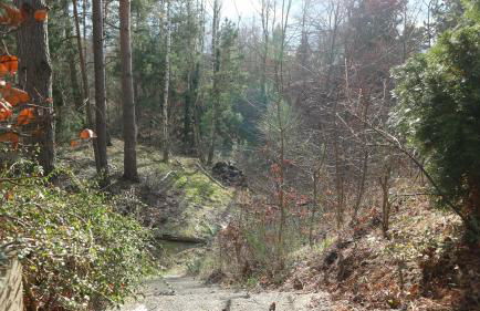 Ferienhaus mit Pool zum Träumen und Entspannen für alle Sinne - Foto 19