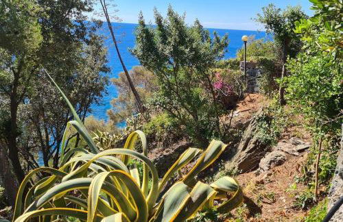 Villa Cokkinis - Foto 28