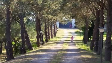 Casina nel Salento - Foto 4