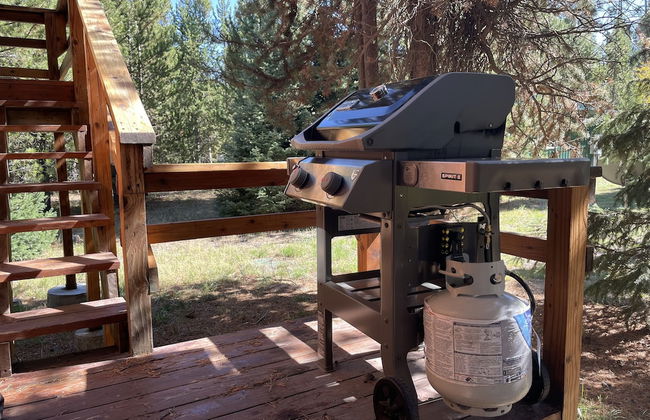 Shepherd Family Retreats- Moose - Photo 32