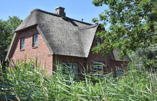 Möwen-Nest - Foto 42